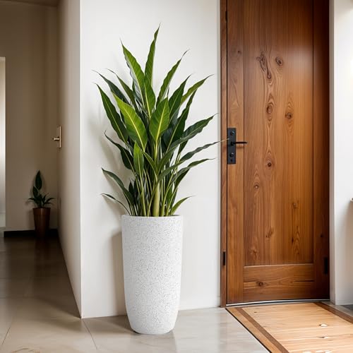 Image of YUCCABE ITALIA FOXB TPC 30 INCH Pots for Plants Highly Durable Polymers Lightweight Indoor Outdoor Plant Pots, Flower Pot Gamla Tree Planter Container Planters for Living Room, Balcony, Garden
