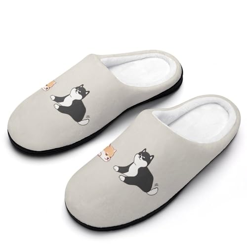 [STEBVI] Xbp  ӖK G Č  [V[Y  nEXXbp  Y fB[X  ~ g 􂦂 qp p jp v[g