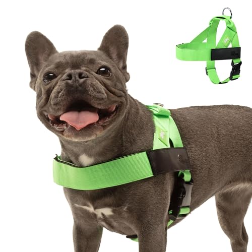 Image of Dog Friendly Co. Dog Harness for Small Dogs (Neon Green, Extra Small)