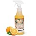 Touch Of Oranges Wood Floor Cleaner 32 oz | Real Orange Oil | Clean Hardwood Floors, Kitchen Cabinets, Antiques, Furniture, Laminate, Paneling | Polish and Restore