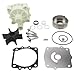 Water Pump Service Kit with Housing for 150 300 18-9075 61A-W0078-A1 61A-45538 44365