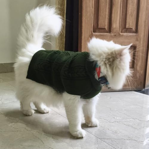 Image of Lulala Turtleneck Dog Sweater, Dog Winter Clothes for Small Dogs Boy Girl, Warm Dog Sweater for Small Dog (Green-22 Inch)