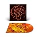 All Souls[Orange Half-Speed LP] [Vinyl LP] [VINYL]