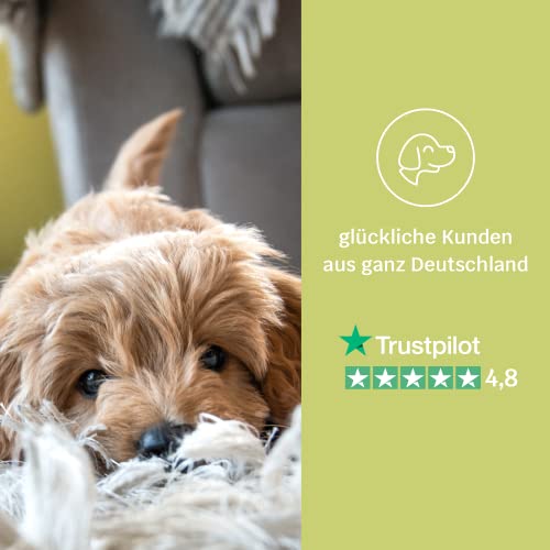 mammaly 13 in 1 Welpen Leckerlies für Hunde (650g) Puppy Power mit Präbiotika, Grünlippmuschel und Vitamin E - Gesundes Wachstum und Nervenfunktionen - Unterstützt Training
