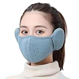 qingshenyi 防寒マスク フェイスカバー 耳当て 2in1 耳当てマスク 防風 防寒 冬用マスク 冬用フェイスカバー 顔と耳の暖かさ・ゴム付き・自由に呼吸 耳カバー レディース 通気性 息苦しくない 柔らかい 暖かい 通勤通学 自転車 アウトドア メンズ 男女兼用 (ブルー) [並行輸入品]