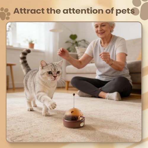 Jeu électronique interactif pour chaton pour renforcer votre complicité et son bonheur - 6
