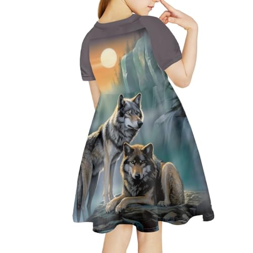 WELLFLYHOM Girls Summer Short Sleeve Skater Party Holiday Dress for Kids 3-144