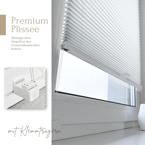 Faszinierend Home Vision Plissee Fotos