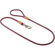 TOH Dog Rope Leash, Puppy Rope Leashes with Comfortable Padded Handle, Shiny Design, Easy to Use, Heavy Duty Dog Leash Suitable for Dogs Training Outdoor Walking, 4ft & Burundy