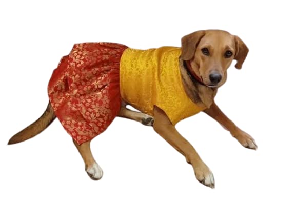 See full amazon price history chart for Bhumi Enterprises Dog Saree Dress Anarkali Dress for Dogs Dress Banarasi Festive/Wedding/Diwali/Navratr(Yellow and Red) (22) Bhumi Enterprises Dog Saree Dress Anarkali Dress for Dogs Dress Banarasi Festive/Wedding/Diwali/Navratr(Yellow and Red) (22) (B0C46GKRGH) Amazon Price History, Amazon Price Tracker