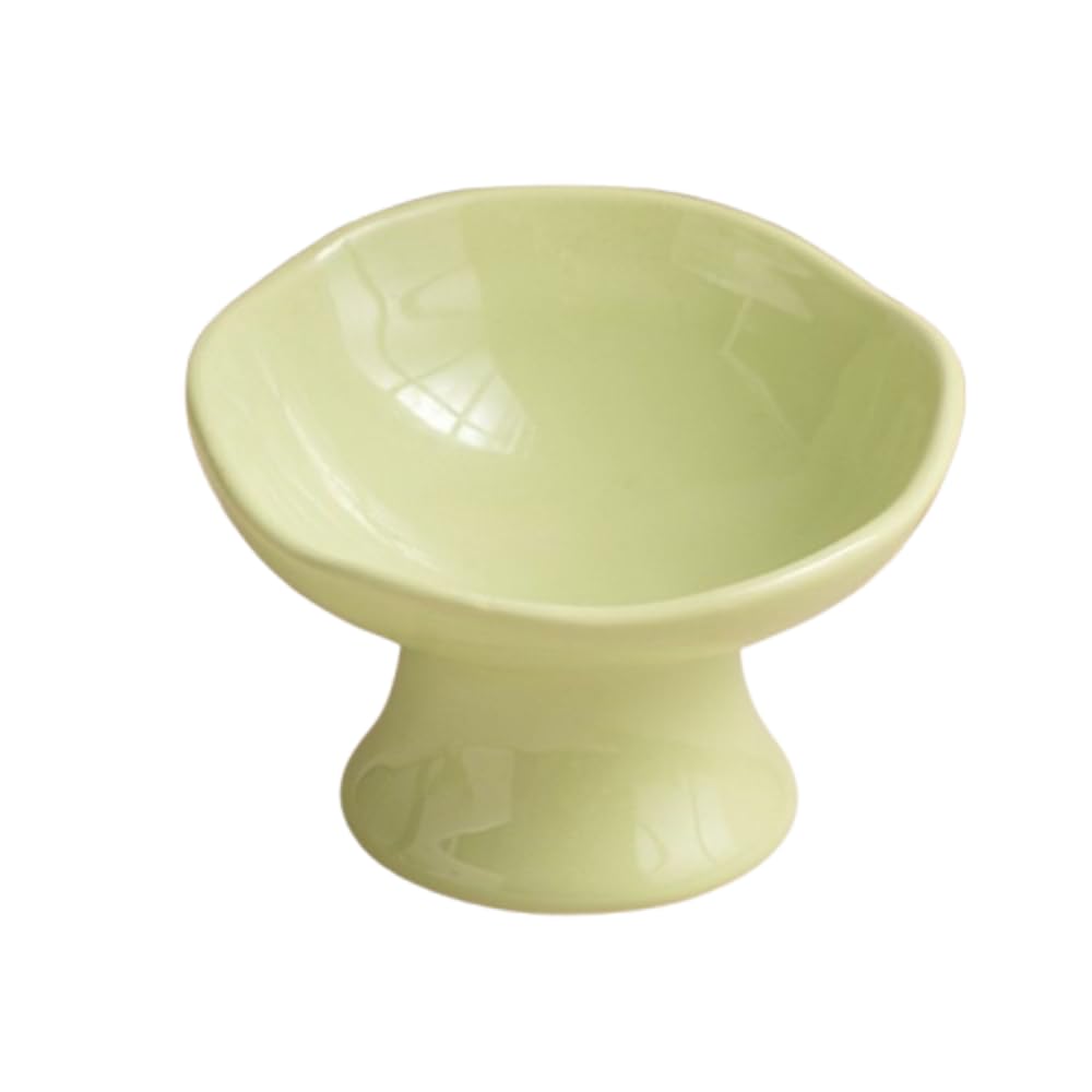 Gamelle surélevée céramique chat au design fleuri haut de gamme