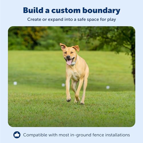 PetSafe Begrenzungsdraht, 152,4 m Spule mit solidem Kern 20-Gauge Kupferdraht, In-Ground Pet Zaundraht, Farben können variieren