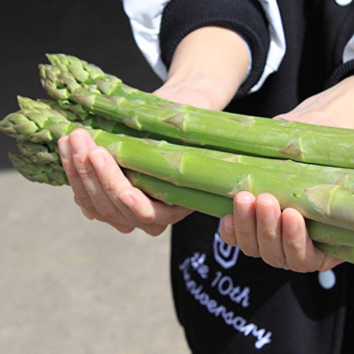 Amazon.co.jp: 2027年先行予約 富良野産 グリーンアスパラ 2L 500g【生