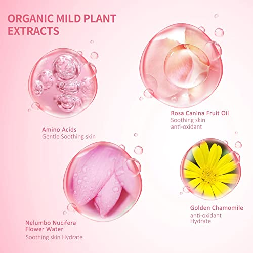 Limpador de extensão de cílios 60 ml + bastão de rímel + escova de limpeza espumante de pálpebra, la