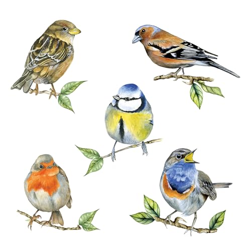 Ambiente   Servilletas de papel (20 unidades, 33 x 33 cm), diseño de pájaros