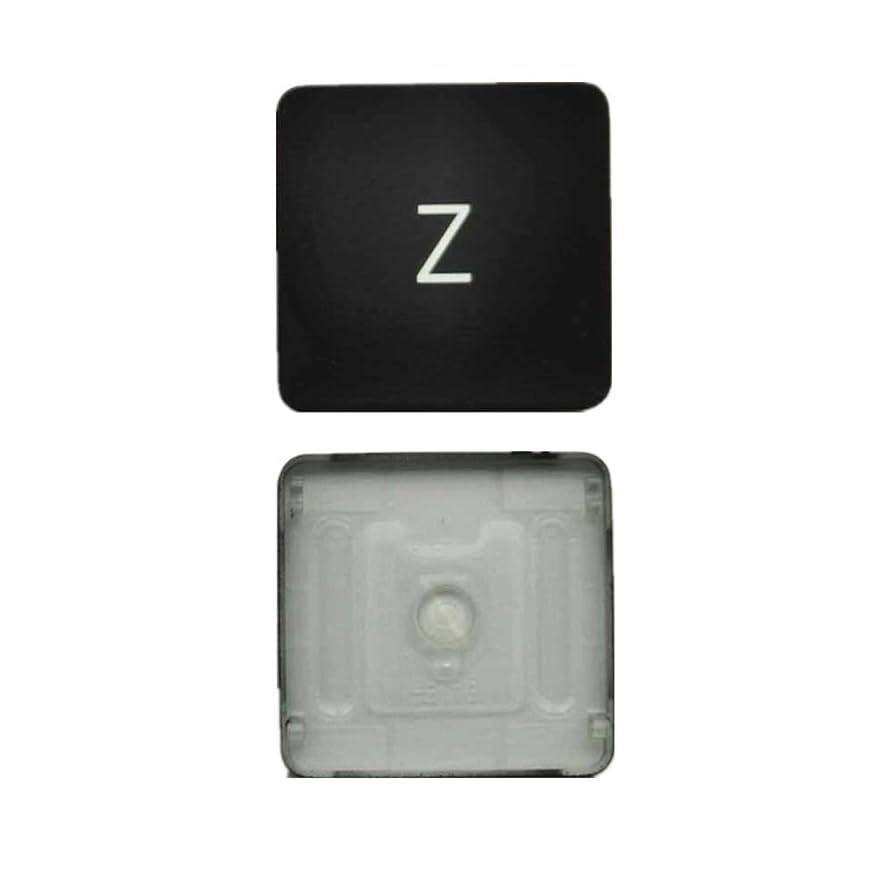 Amazon.com: Replacement Individual Z Key Cap and Hinges are