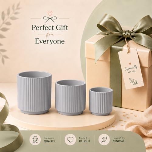 Image of Xtore Contemporary Ceramic Ribbed Planter Set | Minimal Vertical Groove Plant Pots for Home, Office & Living Room Decor - (Set of 3, Grey, Planter ONLY)