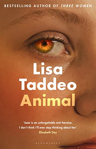Animal view 2