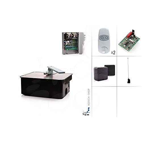 CAME FROG AE/1 Underground 230V motor - Kit M