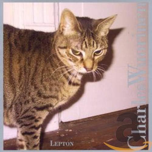 Lepton