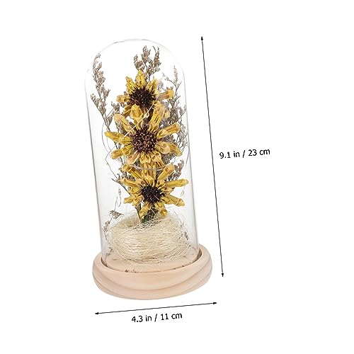 Sunflower in a Glass Dome with LED Lights Decorative Table Lamp Preserved Flower for Her Mothers Day Valentines Day Anniversary