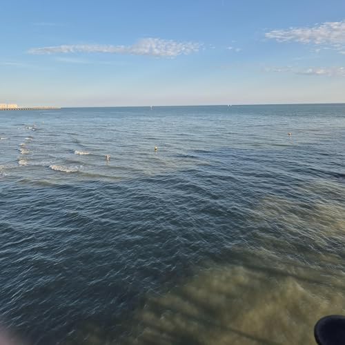 Revolution and Resolution