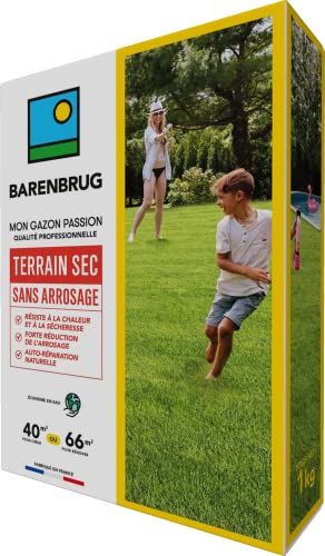 Gazon Terrain sec & sans arrosage - Barenbrug - 1kg