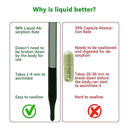 Suplementos de clorofila à base de plantas, gotas líquidas de clorofila, concentrado totalmente natu