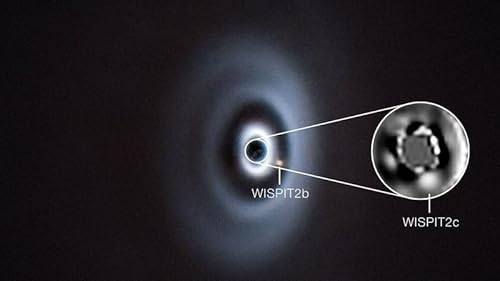 Galway woman who discovered a previously unknown plant