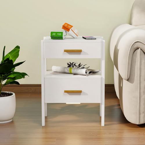 Image of Solid Wood Nightstand with 2 Drawers and Open Shelf Bedside Table End Table