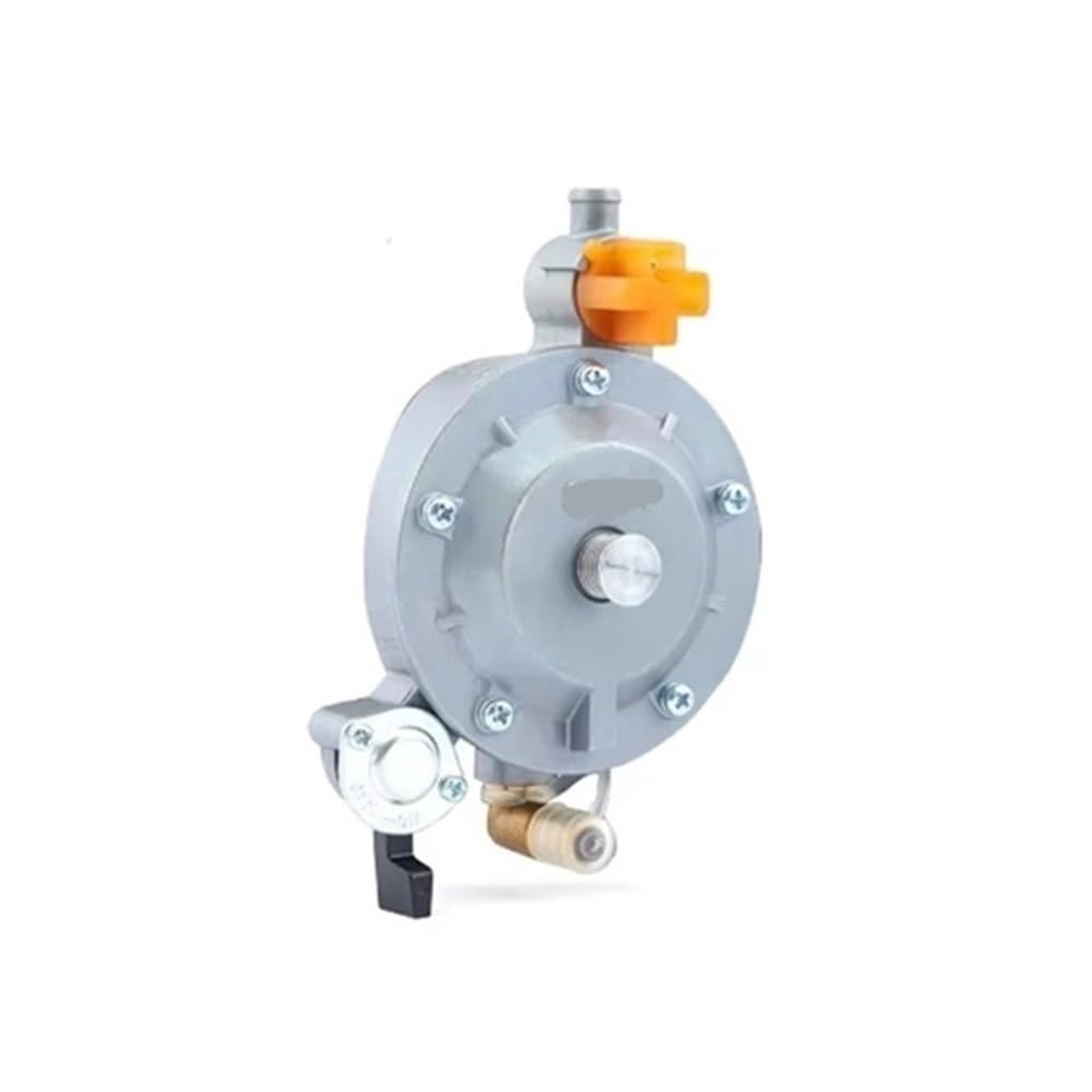 Carburateur à double carburant GT241 154F pour moteur thermique
