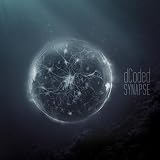 Synapse