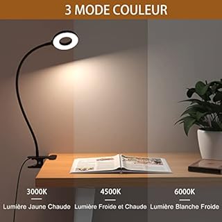 iZELL Lampe de Bureau à Pince avec Adaptateur USB[3 Modes d’Éclairage &10 Niveaux de Luminosité] Flexible à 360°Lampe Lecture Clipsable, 40CM Lampe Bureau Led pour Maison/Bureau