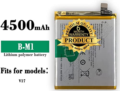 Image of THE BATTERY STORE Orignal B-M1 Battery For Vivo V17 (Vivo 1919) / Vivo V19 (Vivo 1933) battery with 1 year warranty and high capacity battery backup.ACBPR40Y01(Check and Match Battery Model NO. and Mobile Model NO. Before Purchase.See Image of Battery) (FOR B-M1)