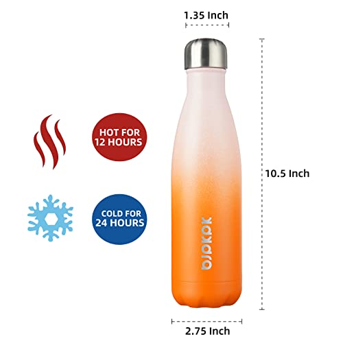 Image of BJPKPK 17 oz Insulated Water Bottle, Stainless Steel Flask, Leak Proof