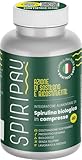 Spirulina Bio Compresse 20g - Alga Spirulina Italiana Senza Glutine - Superfood Ricco di Proteine, Vitamine e Minerali - per Dimagrire e Benessere - 40 Compresse immagine
