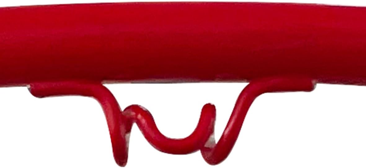 Professional Breakaway Rim