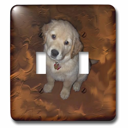 Golden Retriever Puppy interrupteur double pour remplacer vos plaques murales ternes