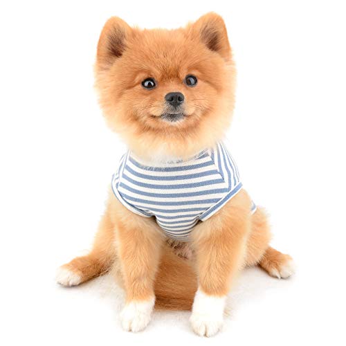 SMALLLEE_Lucky_Store Vestiti per Cani di Piccola