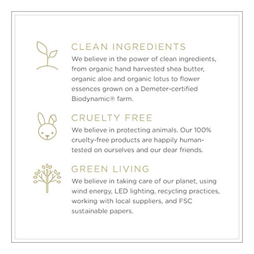 Zents Luminous Cashmere Body Oil, Soften And Moisturize Skin With Vitamin E And Organic Coconut Oil, 8 Fl Oz / 240 Ml (Mandarin) #TOP7