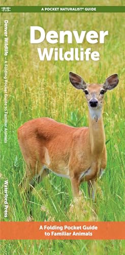 Denver Wildlife (Nature Observation North America)