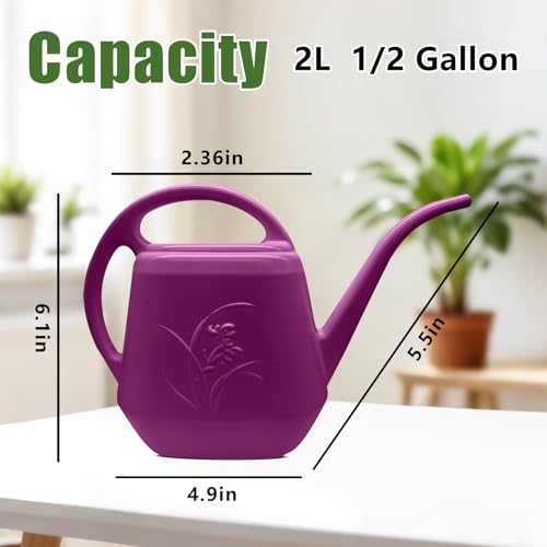 Image of Plastic Watering Can - 1 /2 Gallon - Rose Red