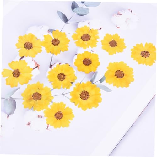 LALAFINA 120 Peças Faça Você Mesmo Em Relevo Acessórios De Artesanato Faça Você Mesmo Flores Secas D