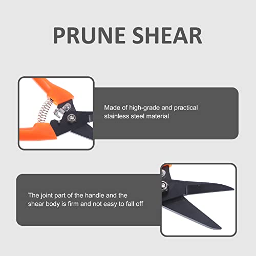 PATKAW 2 Pçs Aparadores De Cascos De Cabra Tesoura De Corte De Unhas De Ovelha Tesoura De Poda Para