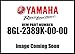 Yamaha 8GL-2389K-00-00 Arm Pivot Assembly; 8GL2389K0000 Made by Yamaha