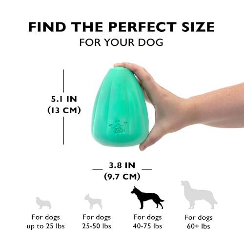Chew King Premium Treat Hundespielzeug XL, extrem strapazierfähiges Naturkautschukspielzeug, 2 Stück, alle Rassengrößen