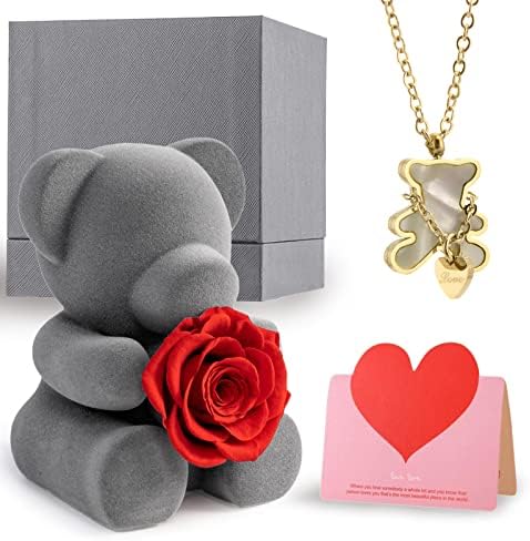 WILLSHINE Rose Teddy Bear Preserved Forever Rose Flower with 18K Real Gold Pendant Necklace for Women,Eternal Red Rose Gift Box for Her on Anniversary Valentines Day Mothers Day Christmas Birthday.