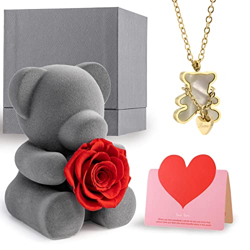 Willshine Rose Teddy Bear Preserved Forever Rose Flower With 18K Real Gold Pendant Necklace For Women,Eternal Red Rose Gift Box For Her On Anniversary Valentines Day Mothers Day Christmas Birthday. #TOP1