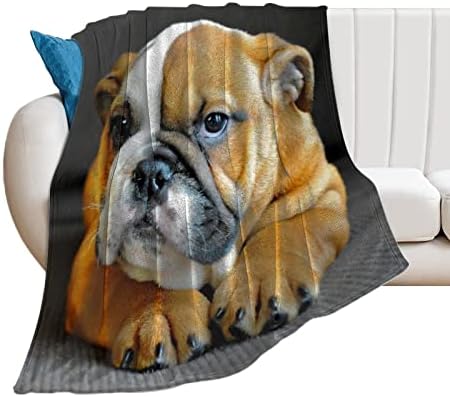 Fleece Throw Blanket for Couch Sofa Bed, Large Unique English Bulldog Puppy Dog Soft Fuzzy Boys Grils Toddler Blanket, Premium Anti-Static Throw for Home Office Travel Car Bedroom Living Room, 40"x50"