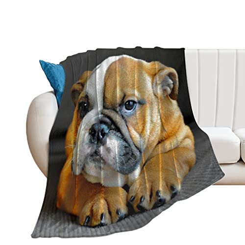 Fleece Throw Blanket For Couch Sofa Bed, Large Unique English Bulldog Puppy Dog Soft Fuzzy Boys Grils Toddler Blanket, Premium Anti-Static Throw For Home Office Travel Car Bedroom Living Room, 40"X50" #TOP9